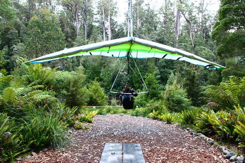 Small-group DayTour From Hobart: Hastings Caves, Huon Valley And Tahune AirWalk - Accommodation Port Hedland 10