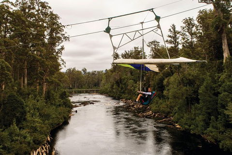 Small-group DayTour From Hobart: Hastings Caves, Huon Valley And Tahune AirWalk - Accommodation Port Hedland 14