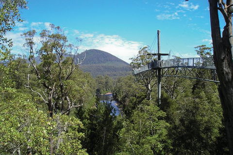 Small-group DayTour From Hobart: Hastings Caves, Huon Valley And Tahune AirWalk - Accommodation Port Hedland 9