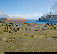 Maria Island Active Day Trip from Hobart - Accommodation Port Hedland