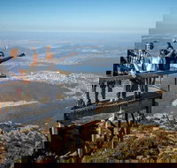 Mt Field National Park Active Day-Trip Including Bonorong and Mt Wellington - Accommodation Port Hedland