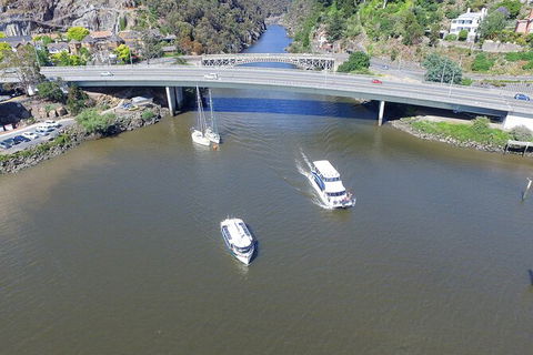 Cataract Gorge Cruise 10:30 Am - Accommodation Port Hedland 5