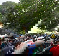 Hobart Half-Day Sightseeing Coach Tram Tour - Accommodation Port Hedland