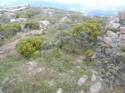 Mt Wellington Tour And MONA Admission - Accommodation Port Hedland 8