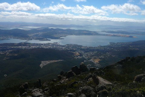 Mt Wellington Tour And MONA Admission - Accommodation Port Hedland 15