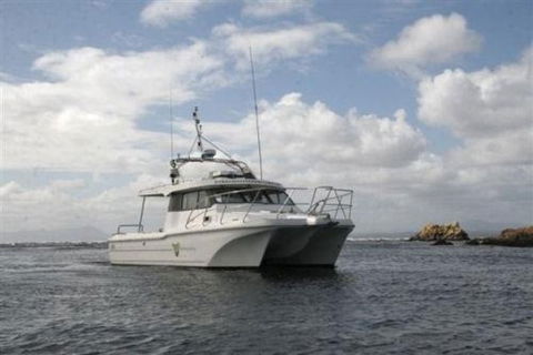 Bonnet Island Experience Departing From Strahan - Accommodation Port Hedland 1