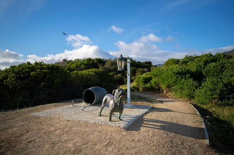 Cruise Ship Special From Port Arthur: Explore Tasman Peninsula With Free WiFi - Accommodation Port Hedland 9