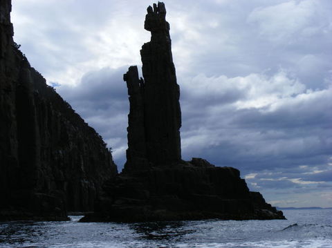 Full-Day Bruny Island Tour From Hobart - Accommodation Port Hedland 25