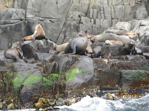 Full-Day Bruny Island Tour From Hobart - Accommodation Port Hedland 2