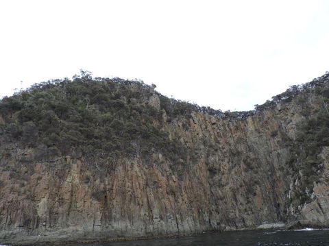 Full-Day Bruny Island Tour From Hobart - Accommodation Port Hedland 12
