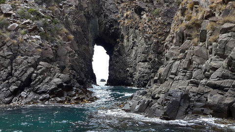 Full-Day Bruny Island Tour From Hobart - Accommodation Port Hedland 8