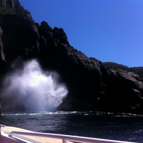 Full-Day Bruny Island Tour From Hobart - Accommodation Port Hedland 18