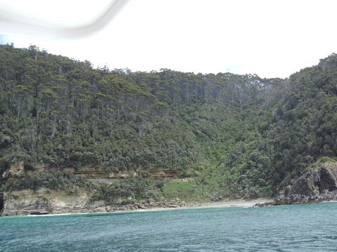Full-Day Bruny Island Tour From Hobart - Accommodation Port Hedland 10