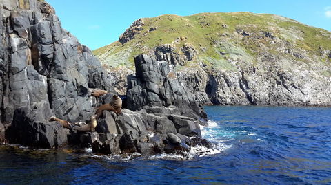 Full-Day Bruny Island Tour From Hobart - Accommodation Port Hedland 6
