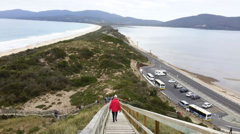Full-Day Bruny Island Tour From Hobart - Accommodation Port Hedland 7