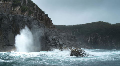 Full-Day Bruny Island Tour From Hobart - Accommodation Port Hedland 22