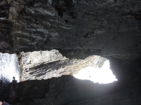 Full-Day Bruny Island Tour From Hobart - Accommodation Port Hedland 9