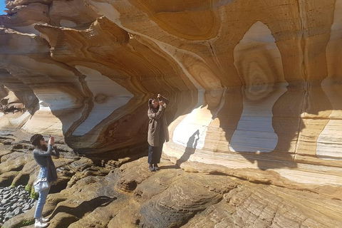 Maria Island National Park - Day Walk And Picnic Lunch - Accommodation Port Hedland 3