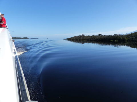 Gordon River Cruise Departing From Strahan - Accommodation Port Hedland 3