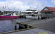 Gordon River Cruise Departing From Strahan - thumb 14