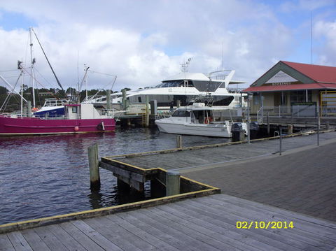 Gordon River Cruise Departing From Strahan - Accommodation Port Hedland 14