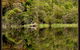 Gordon River Cruise Departing From Strahan - thumb 12