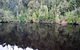Gordon River Cruise Departing From Strahan - thumb 24