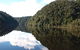 Gordon River Cruise Departing From Strahan - thumb 16