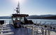Gordon River Cruise Departing From Strahan - thumb 36