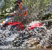 Quad Bike 2-Hour Adventure Freycinet National Park - Accommodation Port Hedland