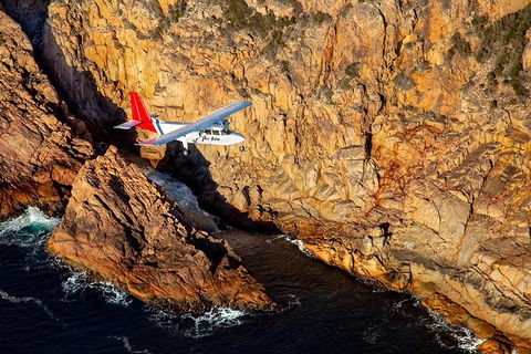Wineglass Bay And Maria Island Wildlife Scenic Flight From Hobart - Accommodation Port Hedland 16