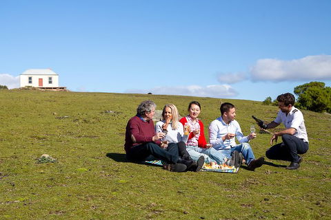 Wineglass Bay And Maria Island Wildlife Scenic Flight From Hobart - Accommodation Port Hedland 6