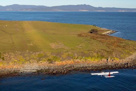 Wineglass Bay And Maria Island Wildlife Scenic Flight From Hobart - Accommodation Port Hedland 10