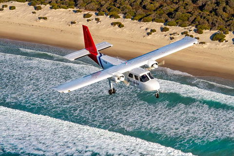Wineglass Bay And Maria Island Wildlife Scenic Flight From Hobart - Accommodation Port Hedland 11