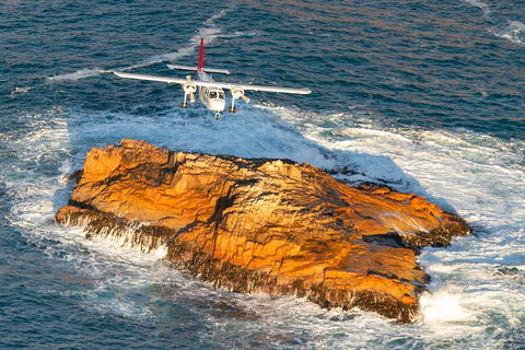 Wineglass Bay And Maria Island Wildlife Scenic Flight From Hobart - Accommodation Port Hedland 7