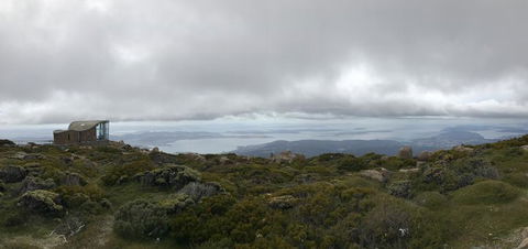 Cruise Ship Special Ex Hobart: Mt Wellington, Richmond, Bonorong With Free WiFi - Accommodation Port Hedland 4