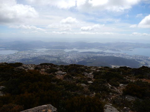 Cruise Ship Special Ex Hobart: Mt Wellington, Richmond, Bonorong With Free WiFi - Accommodation Port Hedland 10