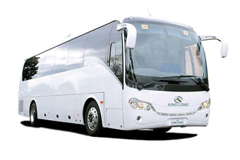 Cruise Ship Special Ex Hobart: Mt Wellington, Richmond, Bonorong With Free WiFi - Accommodation Port Hedland 19