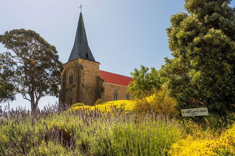 Cruise Ship Special Ex Hobart: Mt Wellington, Richmond, Bonorong With Free WiFi - Accommodation Port Hedland 18
