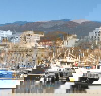Private Mt Wellington Richmond Bonorong Wildlife Sanctuary Tour from Hobart - Accommodation Port Hedland
