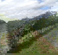 Coal River Valley  Hobart food  wine grazing tour - Accommodation Port Hedland