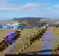 4-Day Hobart Adventure Tour Maria Island Cape Raoul Mount Field Cape Hauy - Accommodation Port Hedland