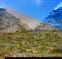 3-Day Hobart Adventure Tour Mount Field Cape Hauy and Hartz Peak - Accommodation Port Hedland