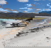4X4 and Lunch Half Day Bicheno Coastal Mountain - Accommodation Port Hedland