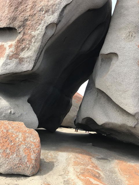 Kangaroo Island In A Day Tour From Adelaide - Accommodation Port Hedland 7