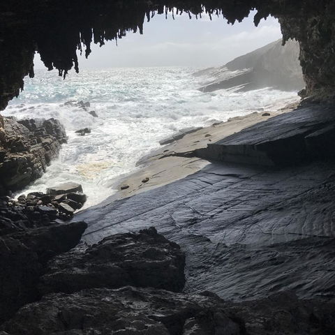 Kangaroo Island In A Day Tour From Adelaide - Accommodation Port Hedland 5