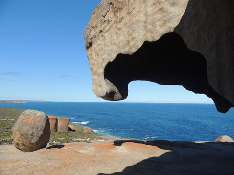 Kangaroo Island In A Day Tour From Adelaide - Accommodation Port Hedland 13