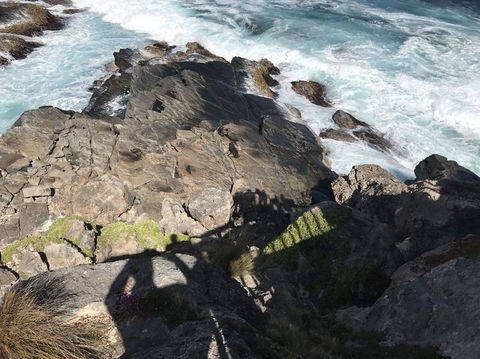 Kangaroo Island In A Day Tour From Adelaide - Accommodation Port Hedland 3