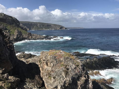 Kangaroo Island In A Day Tour From Adelaide - Accommodation Port Hedland 4