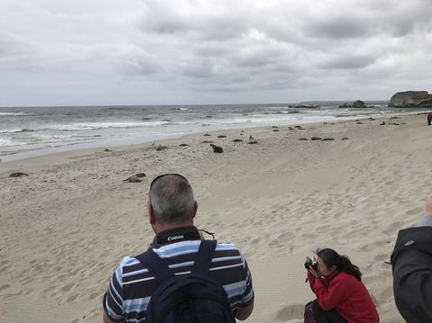 Kangaroo Island In A Day Tour From Adelaide - Accommodation Port Hedland 10